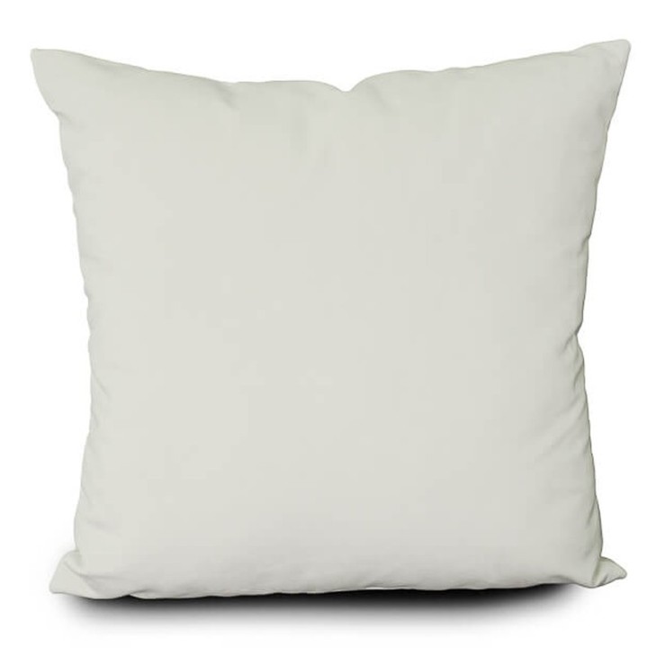 Coussin 50x50 Velours Paris