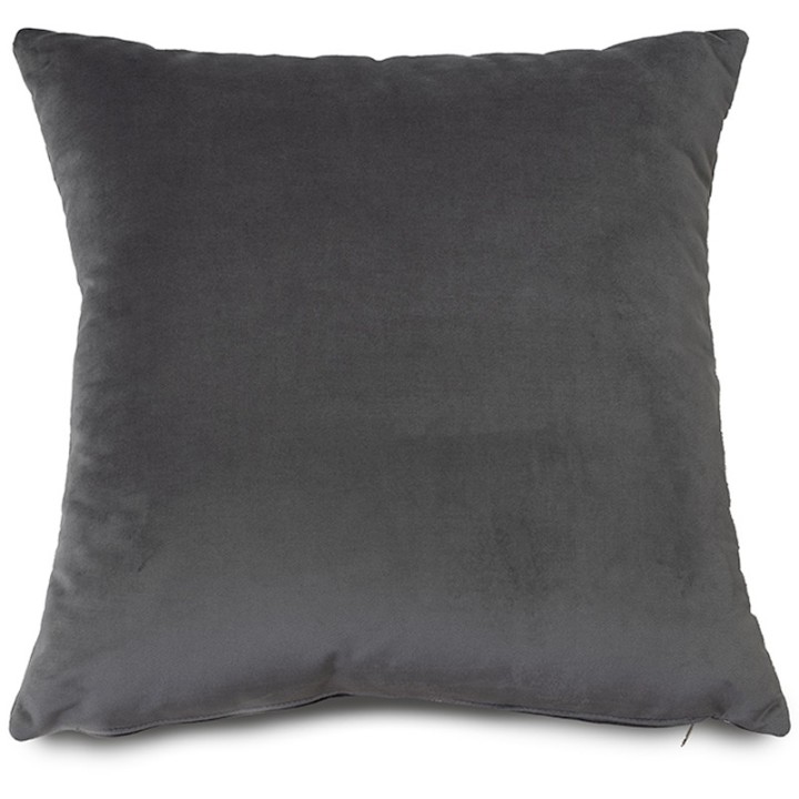 Coussin 50x50 Velours Paris