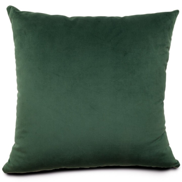 Coussin 50x50 Velours Paris