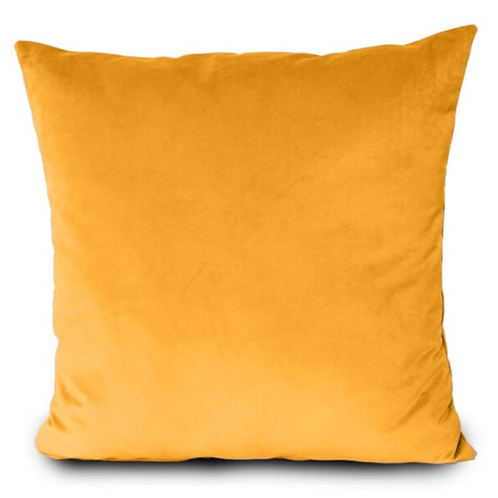 Coussin 50x50 Velours Paris